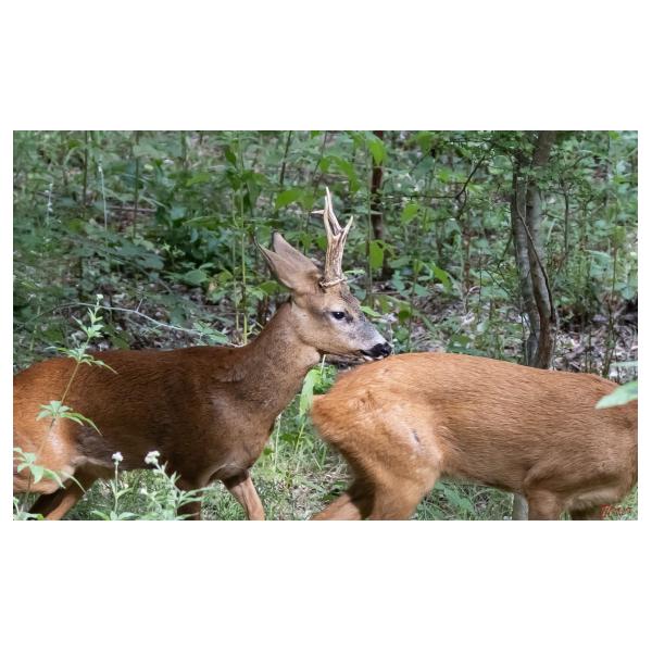 PHOTO84, CLUB, 84 , LUBERON